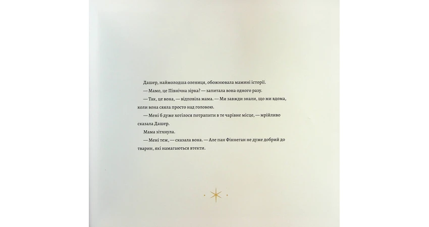 Фото 5 - Дашер